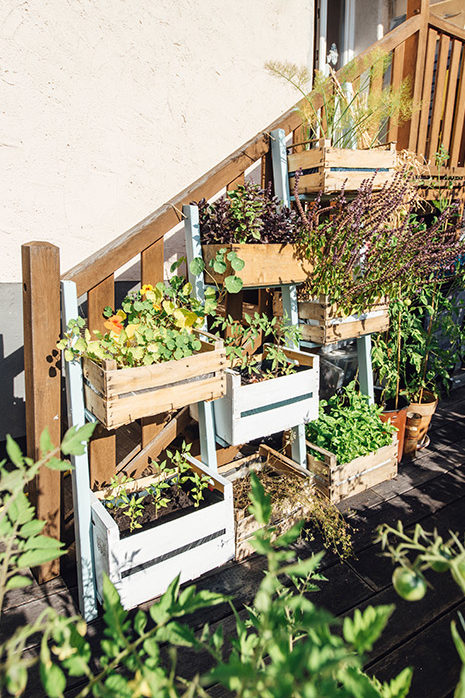 In die Höhe denken: Mit "Vertical Gardening" nutzen Sie den Platz auf einer kleinen Terrasse optimal aus